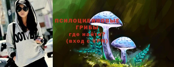 индика Баксан
