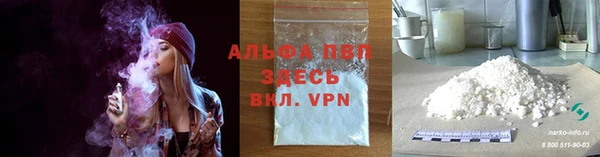 МДПВ Новозыбков