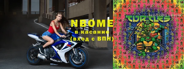 индика Баксан
