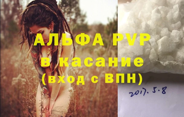 ПСИЛОЦИБИНОВЫЕ ГРИБЫ Балабаново