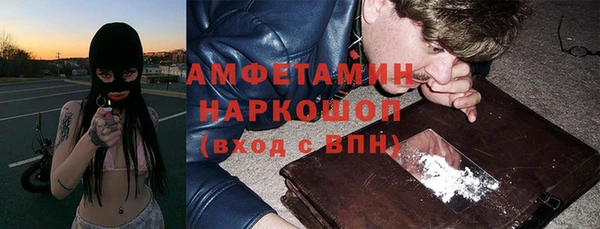 индика Баксан