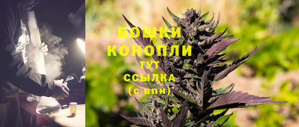 ПСИЛОЦИБИНОВЫЕ ГРИБЫ Балабаново