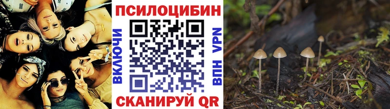 kraken зеркало Ивангород Псилоцибиновые грибы ЛСД цены